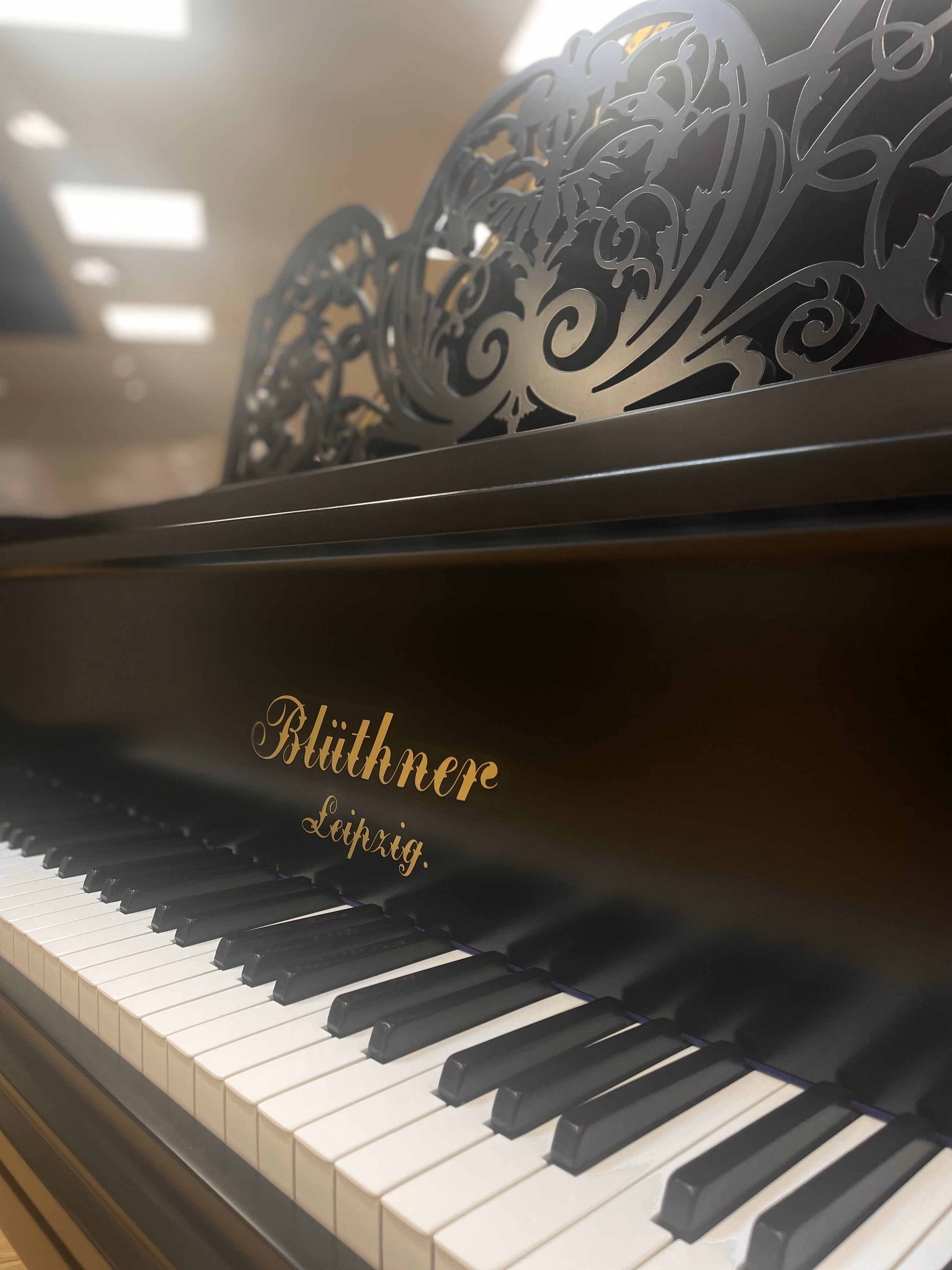 Re-built Blüthner Style VII Grand Piano