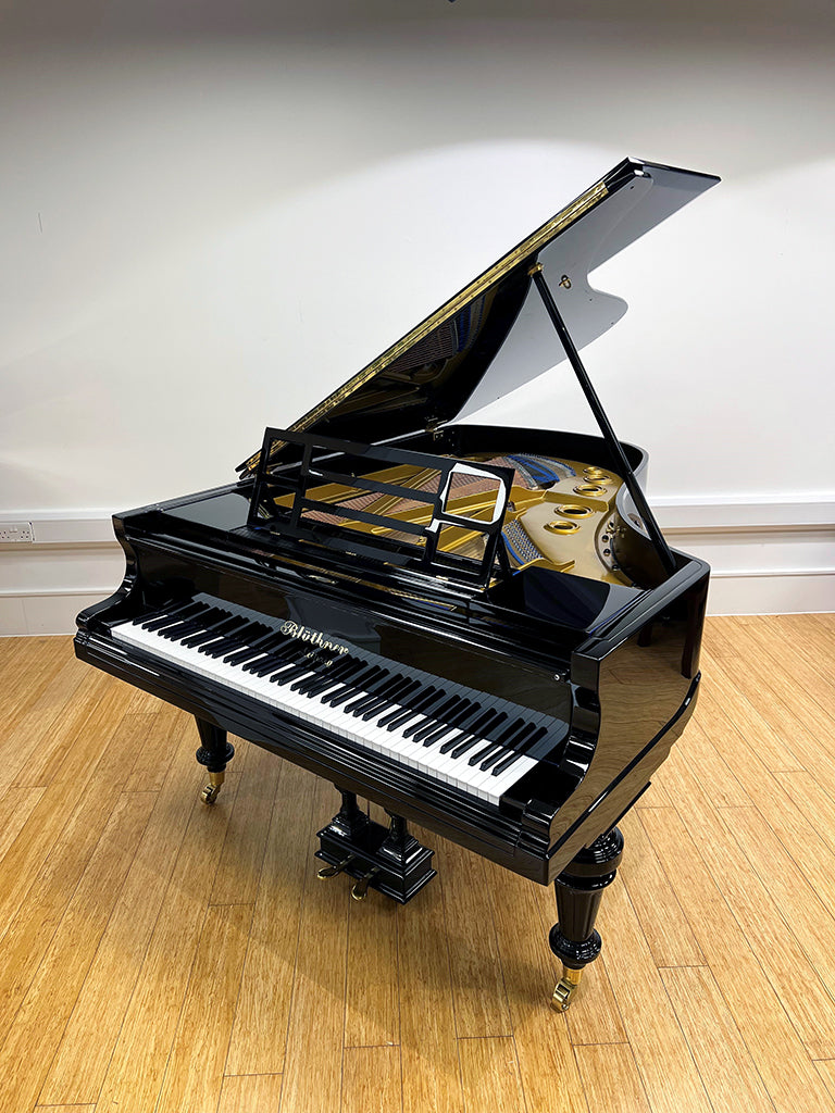 Re-conditioned Blüthner Style VIII Grand Piano